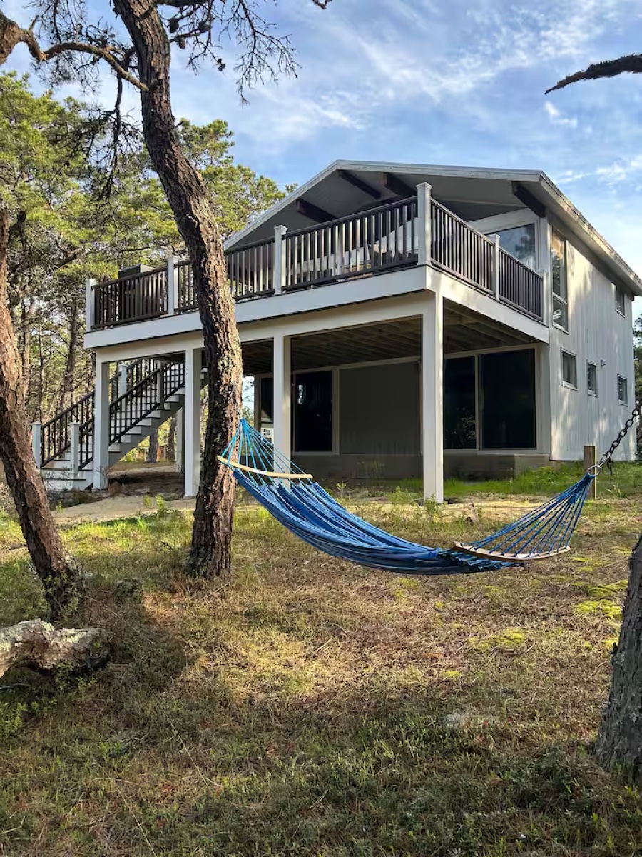 Private wooded backyard with hammock